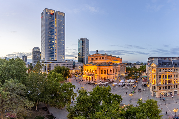 Expedition Between Palm Trees and the Frankfurt Skyline